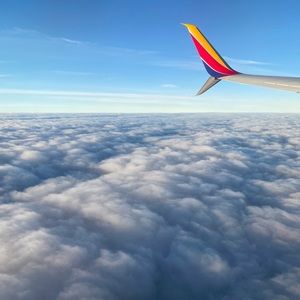 Meet your Posher, Bobbie